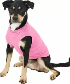 Frisco Dog & Cat Basic Hoodie + T-Shirt, Pink -Dog Cat Corner 302712 PT4. SY630 V1633064507