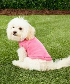 Frisco Dog & Cat Basic Hoodie + T-Shirt, Pink -Dog Cat Corner 302712 PT8. SY630 V1623046040