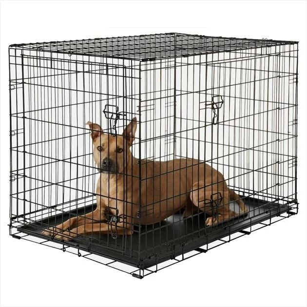 Frisco||Goody Box Frisco Fold & Carry Double Door Collapsible Wire Crate + Goody Box Puppy Toys, Treats & Potty Training 4 Frisco||Goody Box Frisco Fold & Carry Double Door Collapsible Wire Crate + Goody Box Puppy Toys, Treats & Potty Training - Image 2