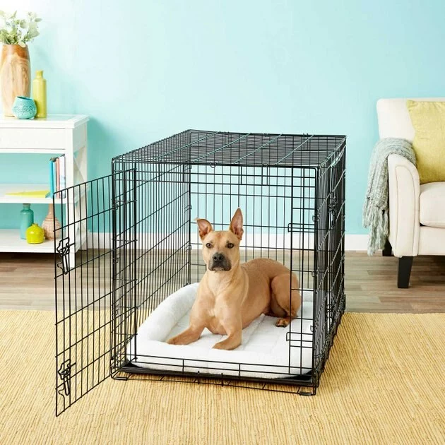 Frisco||Goody Box Frisco Fold & Carry Double Door Collapsible Wire Crate + Goody Box Puppy Toys, Treats & Potty Training 6 Frisco||Goody Box Frisco Fold & Carry Double Door Collapsible Wire Crate + Goody Box Puppy Toys, Treats & Potty Training - Image 4