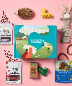 Frisco||Goody Box Frisco Fold & Carry Double Door Collapsible Wire Crate + Goody Box Puppy Toys, Treats & Potty Training 15 Frisco||Goody Box Frisco Fold & Carry Double Door Collapsible Wire Crate + Goody Box Puppy Toys, Treats & Potty Training -Dog Cat Corner 302728 PT6. SY630 V1658256255