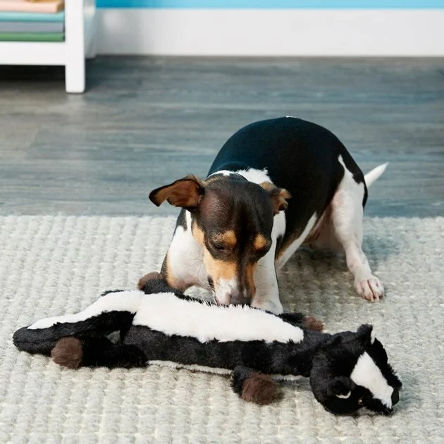 Frisco||Goody Box Frisco Fold & Carry Double Door Collapsible Wire Crate + Goody Box Puppy Toys, Treats & Potty Training 9 Frisco||Goody Box Frisco Fold & Carry Double Door Collapsible Wire Crate + Goody Box Puppy Toys, Treats & Potty Training - Image 7