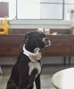 Frisco Plaid Dog & Cat Bow Tie, Orange & Blue + Blue -Dog Cat Corner 302770 PT3. SY630 V1623081160