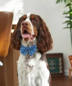 Frisco Plaid Dog & Cat Bow Tie, Orange & Blue + Blue -Dog Cat Corner 302770 PT6. SY630 V1623067356