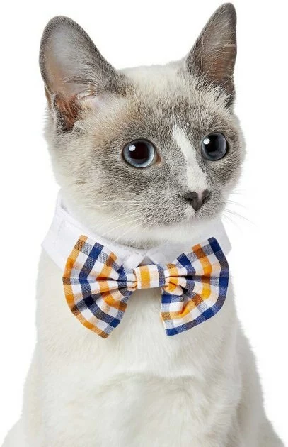 Frisco Plaid Dog & Cat Bow Tie, Orange & Blue + Polka Dot, Navy 5 Frisco Plaid Dog & Cat Bow Tie, Orange & Blue + Polka Dot, Navy - Image 3
