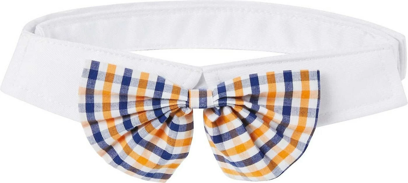 Frisco Plaid Dog & Cat Bow Tie, Orange & Blue + Polka Dot, Navy 6 Frisco Plaid Dog & Cat Bow Tie, Orange & Blue + Polka Dot, Navy - Image 4