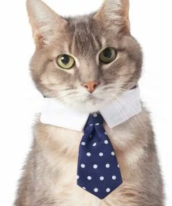 Frisco Plaid Dog & Cat Bow Tie, Orange & Blue + Polka Dot, Navy 16 Frisco Plaid Dog & Cat Bow Tie, Orange & Blue + Polka Dot, Navy -Dog Cat Corner 302784 PT5. SY630 V1623037952