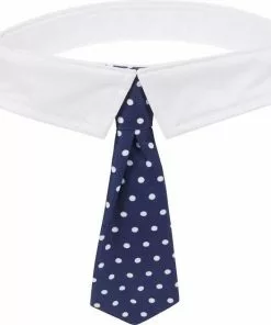 Frisco Plaid Dog & Cat Bow Tie, Orange & Blue + Polka Dot, Navy 17 Frisco Plaid Dog & Cat Bow Tie, Orange & Blue + Polka Dot, Navy -Dog Cat Corner 302784 PT6. SY630 V1623037652