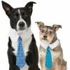 Frisco Plaid Dog & Cat Neck Tie, Blue Plaid + Polka Dot, Teal -Dog Cat Corner 302794 MAIN. SY630 V1623039471