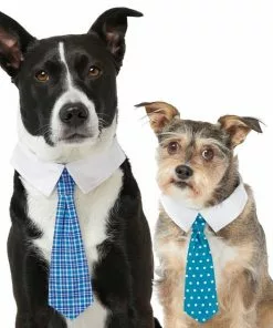 Frisco Plaid Dog & Cat Neck Tie, Blue Plaid + Polka Dot, Teal