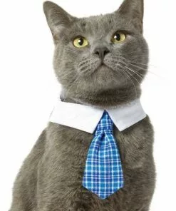 Frisco Plaid Dog & Cat Neck Tie, Blue Plaid + Polka Dot, Teal -Dog Cat Corner 302794 PT2. SY630 V1623052055