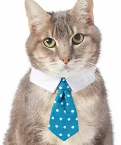 Frisco Plaid Dog & Cat Neck Tie, Blue Plaid + Polka Dot, Teal -Dog Cat Corner 302794 PT5. SY630 V1623084751