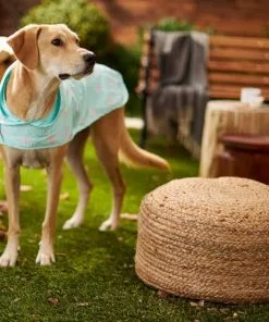 Frisco Rainy Days + Rubber Ducky Dog Raincoat -Dog Cat Corner 302838 PT7. SY630 V1623090458