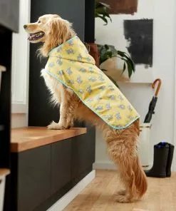 Frisco Rubber Ducky + Elephants Dog Raincoat 18 Frisco Rubber Ducky + Elephants Dog Raincoat -Dog Cat Corner 302878 PT7. SY630 V1623071244