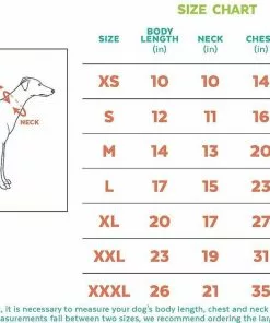 Frisco Rubber Ducky + Reversible Packable Travel Dog Raincoat -Dog Cat Corner 302880 PT8. SY630 V1623073063