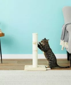 Frisco 21-in Sisal Scratching Post with Toy, Cream + Felt Removable Hood Cave Cat & Dog Covered Bed, Brown 13 Frisco 21-in Sisal Scratching Post with Toy, Cream + Felt Removable Hood Cave Cat & Dog Covered Bed, Brown -Dog Cat Corner 303320 PT3. SY630 V1623051757