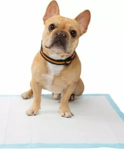 Frisco Dog Training & Potty Pads, 22 x 23-in, 150 count, Unscented + Multi-Surface Cleaning Citrus Scented Wipes -Dog Cat Corner 303400 PT4. SY630 V1623089554