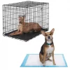 Frisco Heavy Duty Fold & Carry Double Door Collapsible Wire Crate & Mat Kit, + Extra Large Dog Training & Potty Pads, 28 x 34-in, 150 count, Unscented 1 Frisco Heavy Duty Fold & Carry Double Door Collapsible Wire Crate & Mat Kit, + Extra Large Dog Training & Potty Pads, 28 x 34-in, 150 count, Unscented -Dog Cat Corner 303458 MAIN. SY630 V1623166359