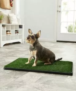 Frisco||PetSafe Frisco Indoor Grass Potty, 30 x 20 in + PetSafe Pet Loo Wee Care Enzyme Cleaner -Dog Cat Corner 303462 PT3. SY630 V1623049351