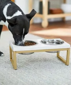 Frisco Plush Pouf Pillow Bed, Large + Marble Print Stainless Steel Double Elevated Dog Bowl, 3 Cups, Gold Stand 19 Frisco Plush Pouf Pillow Bed, Large + Marble Print Stainless Steel Double Elevated Dog Bowl, 3 Cups, Gold Stand -Dog Cat Corner 303534 PT8. SY630 V1625176784