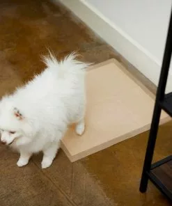 Frisco Refill Poop Bags, Scented, 120 count + Eco-Conscious Dog Training & Potty Pads, 22 x 23-in, 50 count, Unscented -Dog Cat Corner 303542 PT8. SY630 V1623080862