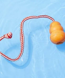 Frisco||KONG Frisco Shark Life Jacket + KONG Aqua Dog Toy, Large -Dog Cat Corner 303580 PT7. SY630 V1623056246