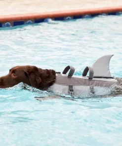 Frisco||KONG Frisco Shark Life Jacket + KONG Aqua Dog Toy, Medium -Dog Cat Corner 303588 PT4. SY630 V1623060745