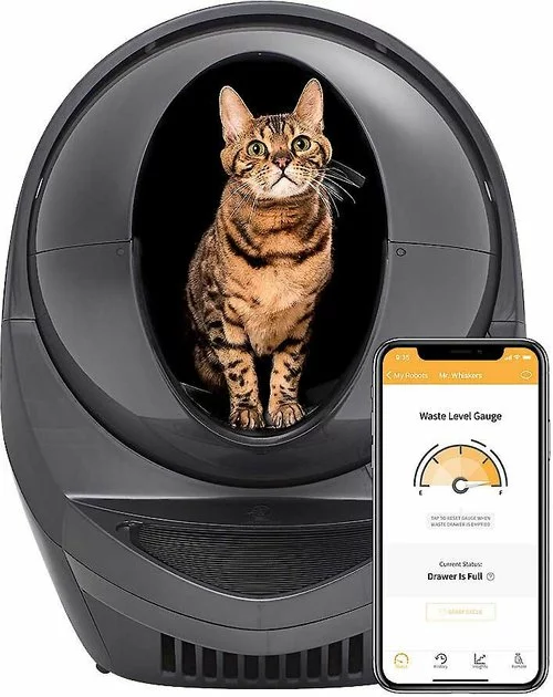 Litter-Robot||Frisco Litter-Robot WiFi Enabled Automatic Self-Cleaning Cat Litter Box, Grey + Frisco Litter Box Cleaning Wipes 4 Litter-Robot||Frisco Litter-Robot WiFi Enabled Automatic Self-Cleaning Cat Litter Box, Grey + Frisco Litter Box Cleaning Wipes - Image 2