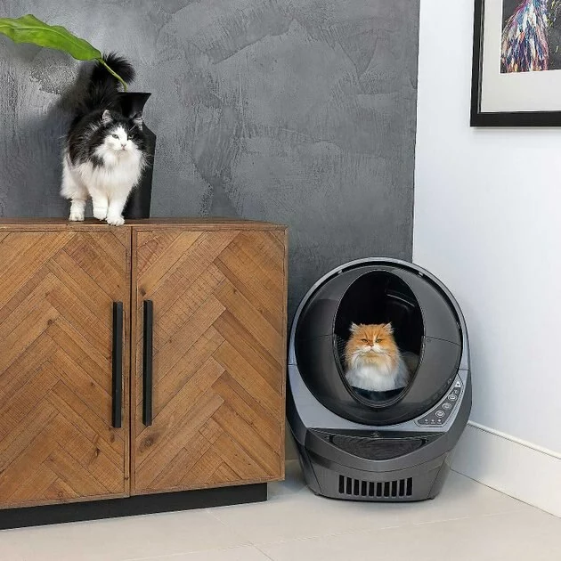 Litter-Robot||Frisco Litter-Robot WiFi Enabled Automatic Self-Cleaning Cat Litter Box, Grey + Frisco Litter Box Cleaning Wipes 7 Litter-Robot||Frisco Litter-Robot WiFi Enabled Automatic Self-Cleaning Cat Litter Box, Grey + Frisco Litter Box Cleaning Wipes - Image 5