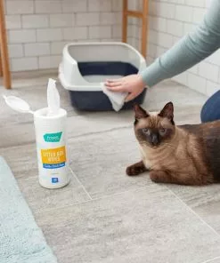 Litter-Robot||Frisco Litter-Robot WiFi Enabled Automatic Self-Cleaning Cat Litter Box, Grey + Frisco Litter Box Cleaning Wipes 17 Litter-Robot||Frisco Litter-Robot WiFi Enabled Automatic Self-Cleaning Cat Litter Box, Grey + Frisco Litter Box Cleaning Wipes -Dog Cat Corner 303694 PT7. SY630 V1623068853