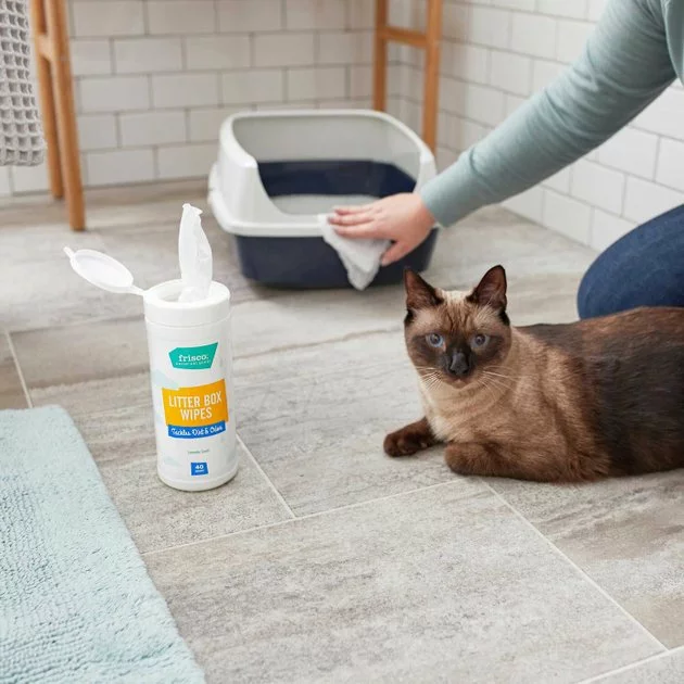 Litter-Robot||Frisco Litter-Robot WiFi Enabled Automatic Self-Cleaning Cat Litter Box, Grey + Frisco Litter Box Cleaning Wipes 10 Litter-Robot||Frisco Litter-Robot WiFi Enabled Automatic Self-Cleaning Cat Litter Box, Grey + Frisco Litter Box Cleaning Wipes - Image 8