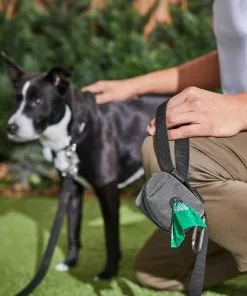 Ubbi||Frisco Ubbi On-The-Go Wipes Dispenser + Frisco Dog Poop Bags with Fabric Dispenser, 30 count, Gray -Dog Cat Corner 303764 PT8. SY630 V1623057451