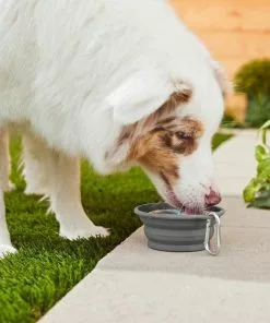 Ubbi||Frisco Ubbi On-The-Go Wipes Dispenser + Frisco Silicone Collapsible Travel Bowl with Carabiner, Gray, 1.5 Cups -Dog Cat Corner 303766 PT8. SY630 V1623049341