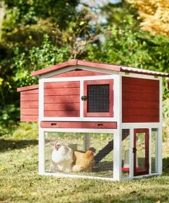 Frisco Wooden Outdoor Chicken Coop
