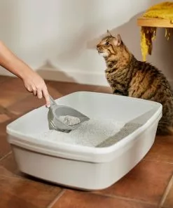 Frisco Attractant Multi-Cat Clumping Clay Cat Litter -Dog Cat Corner 305403 PT4. SY630 V1659023512