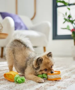 Frisco Easter Carrot Plush Squeaky Dog Toy, 2 pack -Dog Cat Corner 306954 PT3. SY630 V1642441051