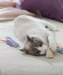 Frisco Easter Party Hat Kickers Cat Toy with Catnip, 3 count -Dog Cat Corner 306960 PT3. SY630 V1642440777