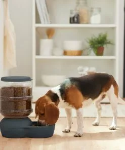 Frisco Wide Mouth Gravity Feeder, 10 lb -Dog Cat Corner 308943 PT4. SY630 V1634318507