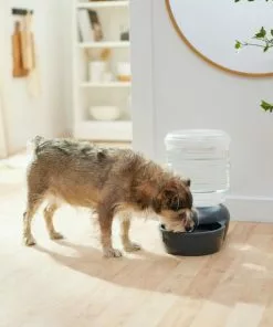Frisco Wide Mouth Gravity Waterer, 2.5 gal -Dog Cat Corner 308945 PT4. SY630 V1634318536