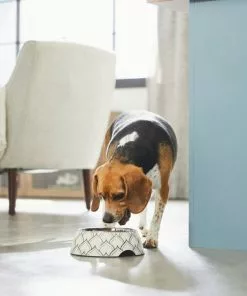 Frisco Moroccan Design Stainless Steel Dog & Cat Bowl -Dog Cat Corner 311963 PT2. SY630 V1642542922