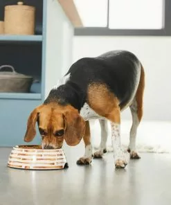 Frisco Copper Print Design Stainless Steel Dog & Cat Bowl -Dog Cat Corner 311975 PT2. SY630 V1642542895