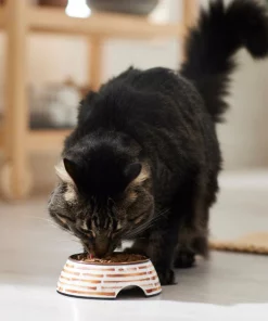 Frisco Copper Print Design Stainless Steel Dog & Cat Bowl -Dog Cat Corner 311975 PT3. SY630 V1642542357