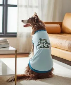 Frisco Here For The Cuddles Dog & Cat T-Shirt -Dog Cat Corner 312024 PT8. SY630 V1644448378