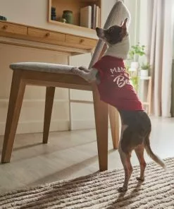 Frisco Mama's Bestie Dog & Cat T-Shirt -Dog Cat Corner 312056 PT8. SY630 V1644425515