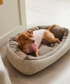 Frisco Mama's Girl Dog & Cat T-Shirt 13 Frisco Mama's Girl Dog & Cat T-Shirt -Dog Cat Corner 312096 PT8. SY630 V1644427093