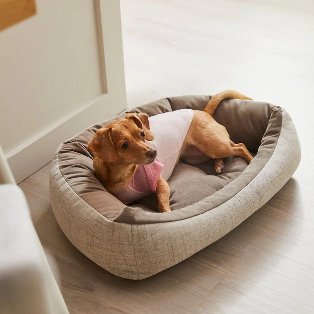 Frisco Mama's Girl Dog & Cat T-Shirt 8 Frisco Mama's Girl Dog & Cat T-Shirt - Image 6