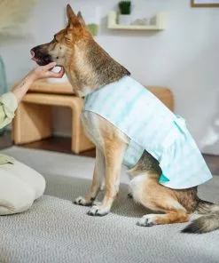 Frisco Green Tie Dye Dog & Cat Dress -Dog Cat Corner 312104 PT8. SY630 V1644424641