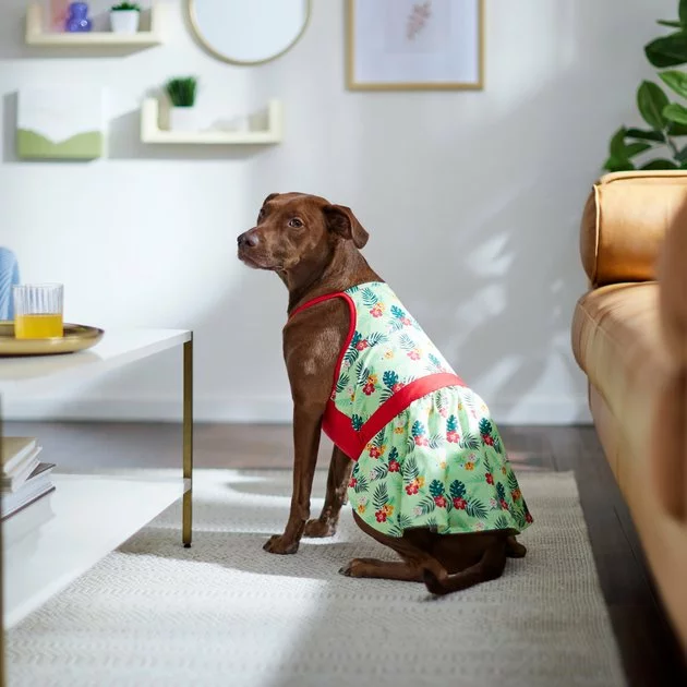 Frisco Hawaiian Floral Dog & Cat Dress 8 Frisco Hawaiian Floral Dog & Cat Dress - Image 6