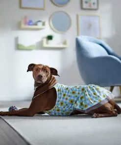 Frisco Sunflower Gingham Dog & Cat Dress -Dog Cat Corner 312120 PT8. SY630 V1644426245