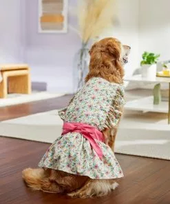 Frisco Dainty Pink Floral Dog & Cat Dress -Dog Cat Corner 312136 PT8. SY630 V1644531784